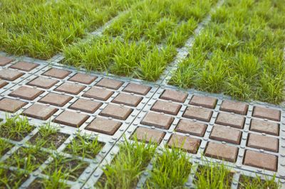 Grass Paver - Pavers Paramus, New Jersey